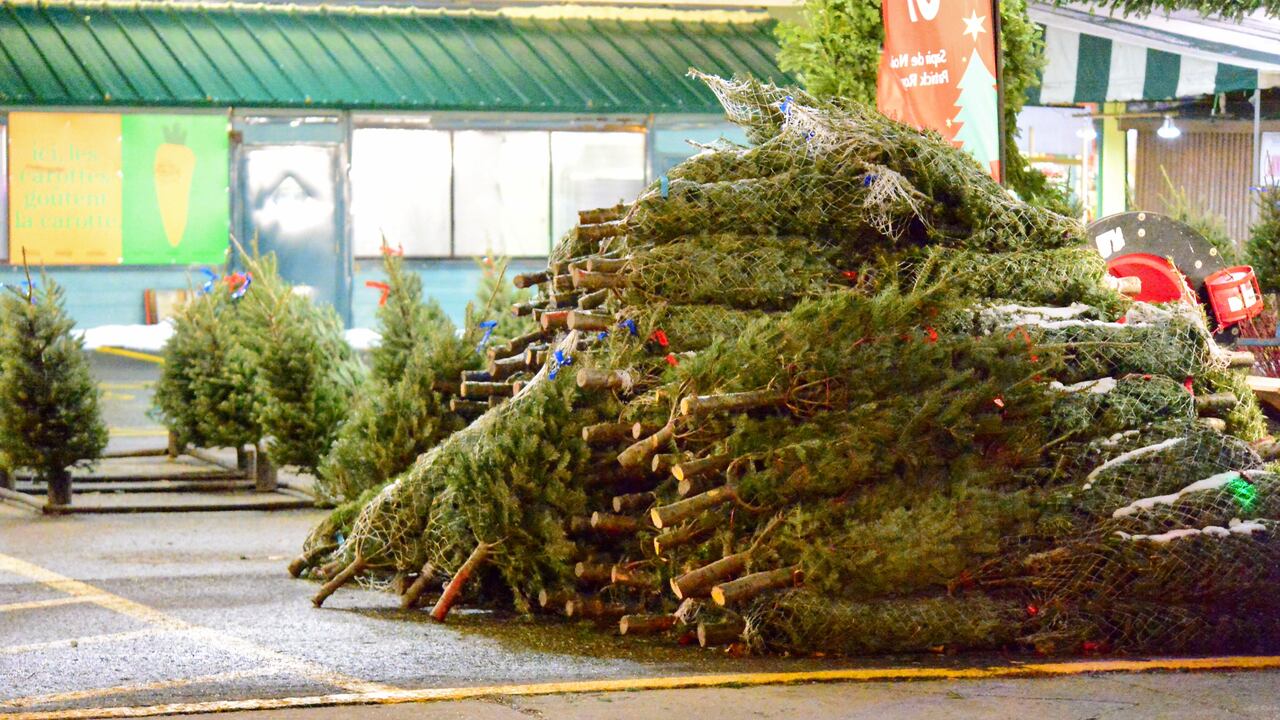 Christmas Tree Removal Service In Gresham