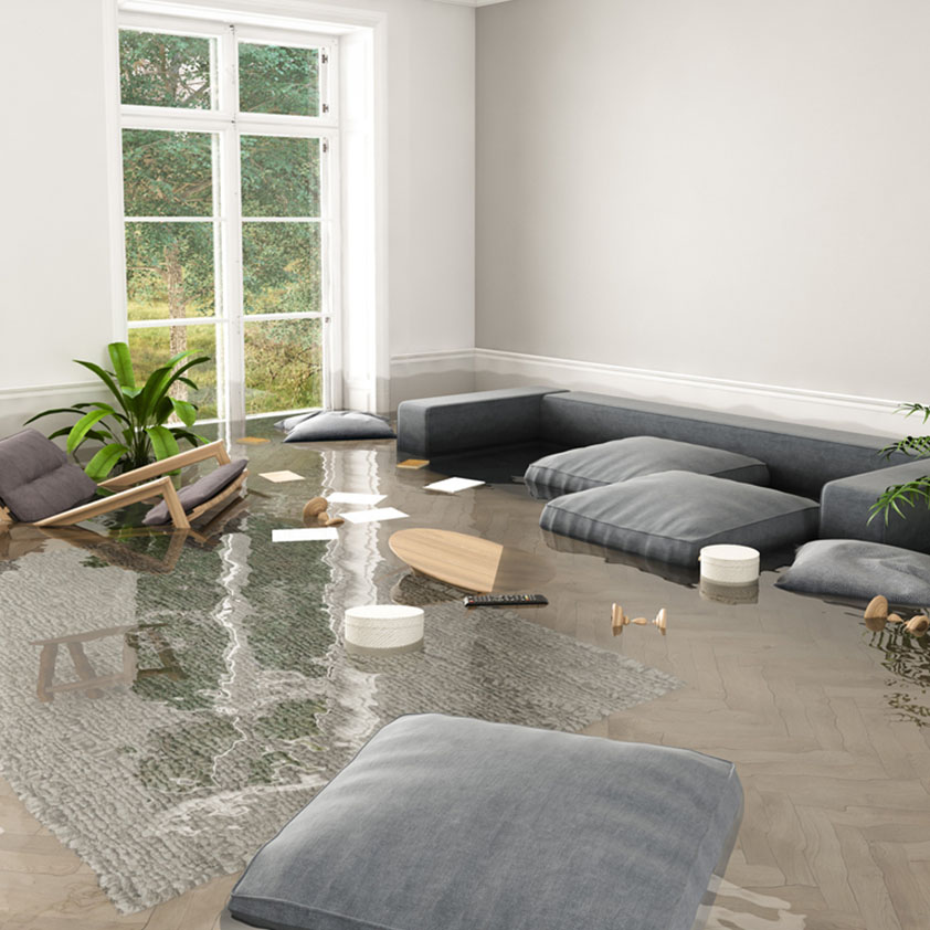 Flood Damage Cleanout Service In Gresham