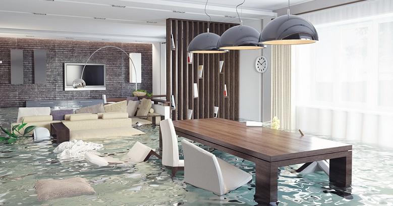 Flood Damage Cleanout Service In Gresham