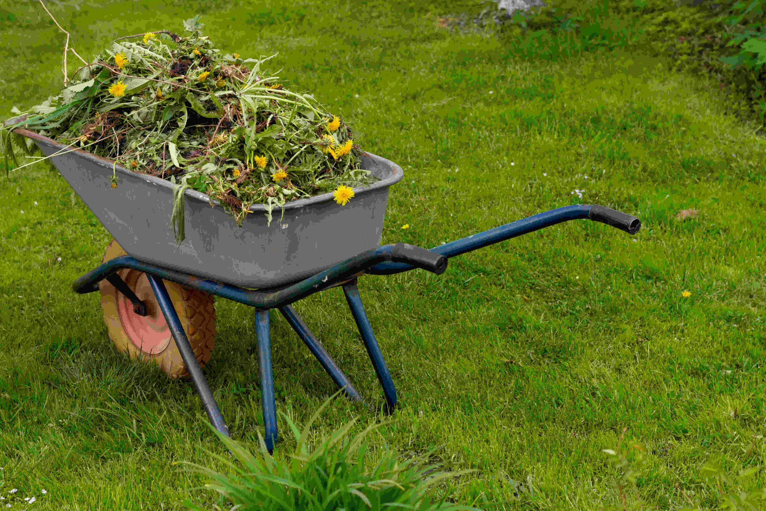 Yard Waste Pickup and Disposal Service In Gresham