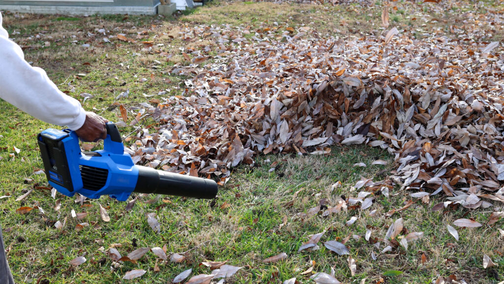 Yard Waste Pickup and Disposal Service In Gresham