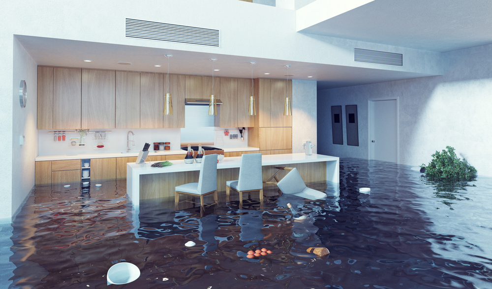 Flood Damage Cleanout Service In Gresham